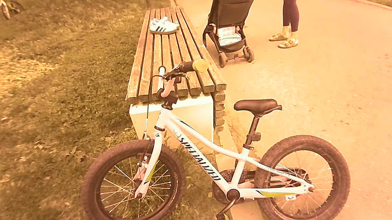 Bicycle in warm afternoon light